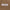 Zaxly Medium Beige