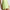 RLX Womens 15-Inch Aim Stretch Skirt Light Lime