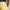 9-Inch Tailored Fit Performance Shorts Banana Peel