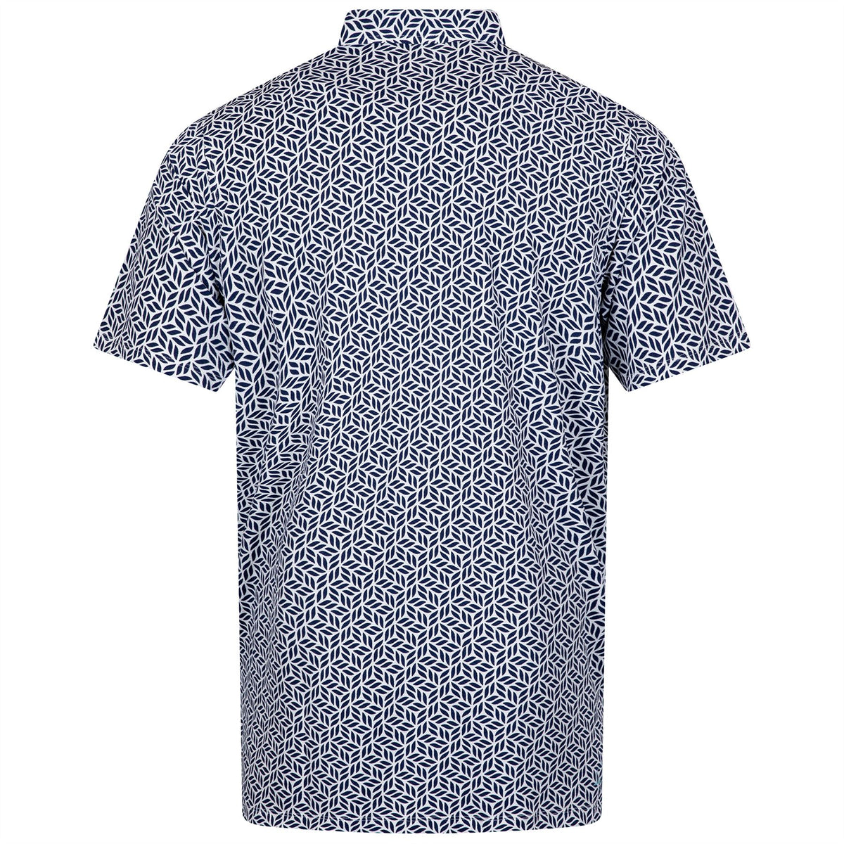 Cool Wesley Polo Regal