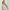 Flora Knit Jacquard Full Zip Layer Stone