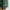 Icon Shorts Pritchard Green