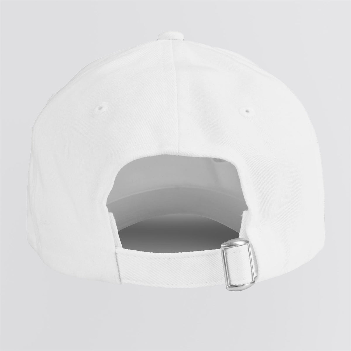 Chenille Wolf Dad Hat Arctic