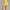Womens Course to Court 14 Inch Sport Skort Yellow Dawn