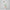 Womens Contrast Sport Skirt Off White/Green Sport