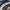 Premiere Series Golf Shoes Liberty Navy