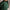 Legacy Skirt Pritchard Green