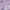 9-Inch Tailored Fit Performance Shorts Flower Purple