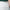 Womens Striped Sport Pants White/Pine Green