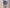 RLX 15 Inch Aim Skort Resort Blue