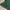 Legacy Skirt Pritchard Green