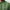 Jordan Dri-FIT Printed Golf Polo Forest Green/White