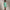 Womens RLX 15 Inch Eyelet Interlock Skort Haven Green
