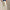 RLX Featherweight Cypress Woven Pants Basic Sand