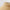 Womens Claire Visor Camel