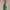 Marina Dress Pritchard Green