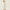 Emilia Pleated Pants Ivory