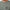 Big Bay LS Tee Dark Olive