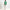Lenny Polo Shirt Green