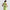 RLX Womens Poly Interlock Polo Light Lime