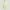 RLX Womens Full Zip Quilted Hybrid Vest Light Lime