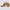 Bases Covered Unstructured 6 Panel Wool Hat Brown