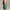 Marina Dress Pritchard Green