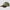 M Script Dad Hat Olivine