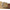 RLX Braided Stretch Belt Timber Brown