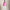 RLX Classic Fit Performance Jersey Mid Layer Laguna Pink