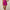 Phoenix Shortie Skirt Lychee