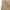 Kooka Twill All Day Pants Tan