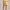Womens RLX 15 Inch Pleated Skort Corn Yellow