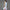 Womens SL Dress Clear Sky