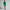 Whisper Water Repellent Jacket Clover