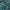 Seafoam Gilet Cactus Green/Stonewall Green
