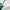 Pegasus 1 Spiked Golf Shoes Barely Green/White Stadium Green