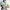 Originals Knit Polo White/Clear Mint/Court Green