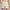 Womens DreamGlow Shorts Lemon Mist
