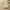Womens Cloud Terry V-Neck Knit Heather Natural