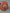 The Point Fairway Headcover Laguna Orange