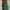 Lux Leggings Pritchard Green