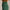 Womens Lux Leggings Pritchard Green