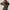 Womens Feather Jacquard Halley II Quarter Zip Camp