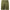 Jones Nylon Shorts Olive