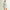 Fait Tout Hooded Jacket Vest Silver Birch