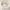 Lumi-Knit Midweight Full Zip Ivory