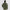Elliot Jacket Light Olivine