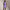 RLX 16 Inch High Waisted Skort Pure Lilac
