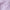 9-Inch Tailored Fit Performance Shorts Flower Purple